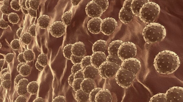 Gizemli hepatit virüsü yayılmaya devam ediyor: Uzmanlar merak edilen 7 soruyu yanıtladı - Yaşam Haberleri