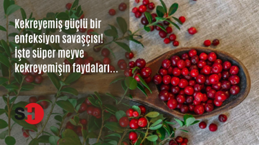 Kekreyemişin faydaları nelerdir? Kekreyemiş çayı nasıl hazırlanır? - Sağlık Haberleri