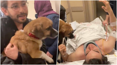 Kazada yaralanan Sergen Deveci ile köpeğinin kavuşma anı duygulandırdı - Magazin Haberleri