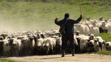 Şırnak’ta 19 yaşındaki çoban hayvanları otlattığı yerde ölü bulundu - Yaşam Haberleri
