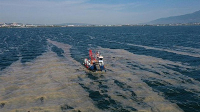 Deniz salyası kabusu mavi bayraklı plajı da vurdu: Kuş bile konamıyor