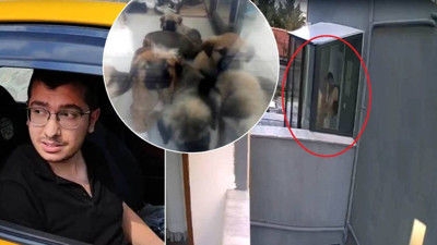 Türkiye'nin yeni psikopatı! Doktor, sahiplendiği 26 yavru köpeği evinin balkonunda öldürdü