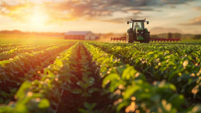 Tarım ÜFE ekim ayında yıllık oranda %45,4 arttı