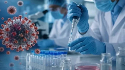 Yeni pandemi yolda, yaz için ürküten uyarı: Hantavirüs sonrası tespit edildi! Dünyadaki en yaygın tür