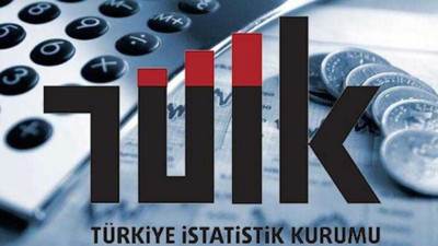 Tek kişilik hanelerin 3’ünden biri yaşlı!
