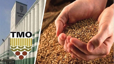 Buğday ve arpa üreticileri dikkat: TMO alımları 21 Mayıs’ta açılıyor! TMO alımları ne zaman başlıyor?
