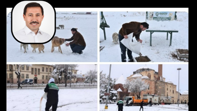 Konya'da 2 yaşındaki çocuk 10 köpeğin saldırısının ardından vefat etmişti! Sokak köpeklerini toplatmak yerine besleyen Karatay Belediyesi'ne tepki yağıyor! Belediye Başkanı'ndan açıklama