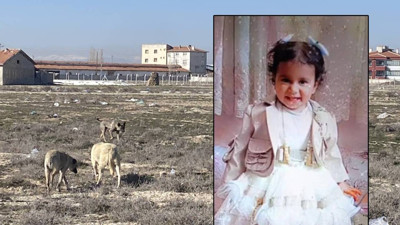Konya'da köpeklerin katlettiği 2 yaşındaki Rana'nın otopsi raporu çıktı: Boyun ve omuzunda köpek ısırıkları var