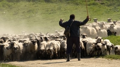 Şırnak’ta 19 yaşındaki çoban hayvanları otlattığı yerde ölü bulundu
