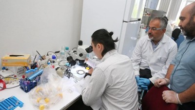 Türkiye'de yeni kene türü tespit edildi! 30’dan fazla hastalık taşıyor, uyarilar artıyor