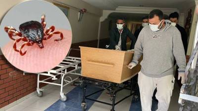 Sivas kabusu yaşıyor! 7 çocuk annesi kadın keneden öldü, kentte ölü sayısı 8’e yükseldi