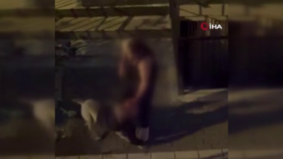 Bahçelievler’de dehşet anları! Pitbull kendi sahibine saldırdı: Kolunu ısırdı, bırakmadı