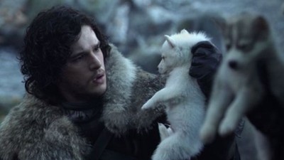 Game of Thrones'un etkisiyle Husky satışları patladı!