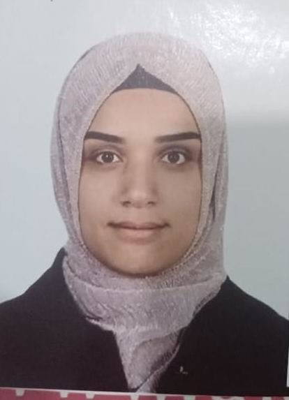 Mardin'de bir ailenin yok olduğu olay yasak aşk cinayeti mi? Komşudan bomba itiraf - Resim : 2