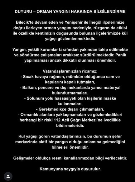 Bilecik'teki orman yangını Bursa'yı sardı! Şehri duman kapladı, kül yağdı - Resim : 2