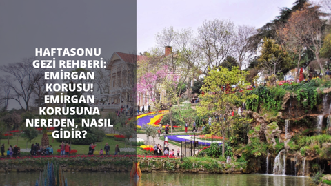 Haftasonu gezi rehberi: Emirgan Korusu