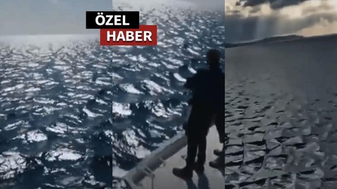 Ege Denizi’ndeki “Kare Dalga  Fenomeni” ne anlama geliyor?