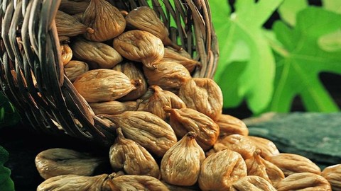 Aflatoksinli inciri enerjiye dönüştürerek uluslararası ödül aldı