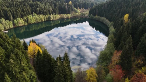 Karadeniz'in incisi Sis Dağı'nda sonbahar büyüsü! Renk cümbüşü baş döndürüyor
