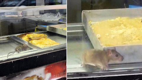 İzmir Buca'da "yok artık" dedirten anlar! Börek tezgahında fareler cirit atıyor...