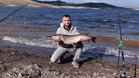 Balıkesir’in Sındırgı ilçesinde oltaya dev turna balığı takıldı