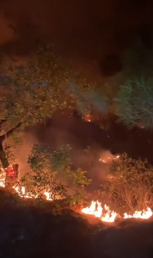 Sinop'taki orman yangını kontrol altında! Vali Özarslan: Tahliye edilenler köylerine dönebilir - Resim : 4