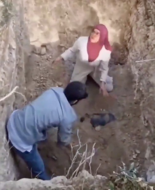 Bursa’da skandal: Kuduz şüphesiyle gömülen köpeklerin mezarını kazdılar! Hıfzıssıhha harekete geçti