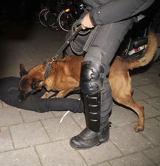 Hollanda polisinin köpeğiyle yaralanan Türk, İstanbul'da sağlığına kavuşacak!