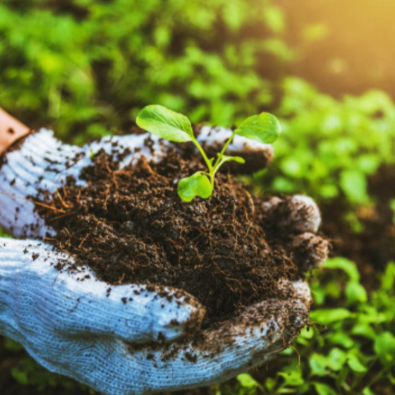 Türkiye'de gübre kriz yok, fırsatçılar var! DMM'den "Gıda arzı tehlikede" iddialarına net yanıt