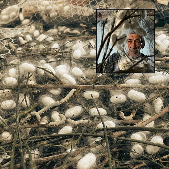 "Bundan daha çok kazandıran bir iş yok!" dedi, evinin altını darphaneye çevirdi