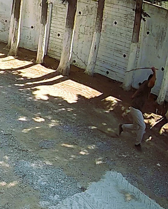 CHP’li başkan zabıtaları parke taşı döşemeye zorladı: Reddedenlerin sırtında sopa kırdı! - Resim : 4