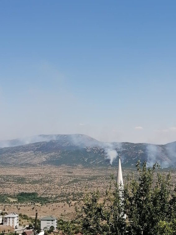 Elazığ'daki yangın 3 gündür sürüyor - Resim : 3