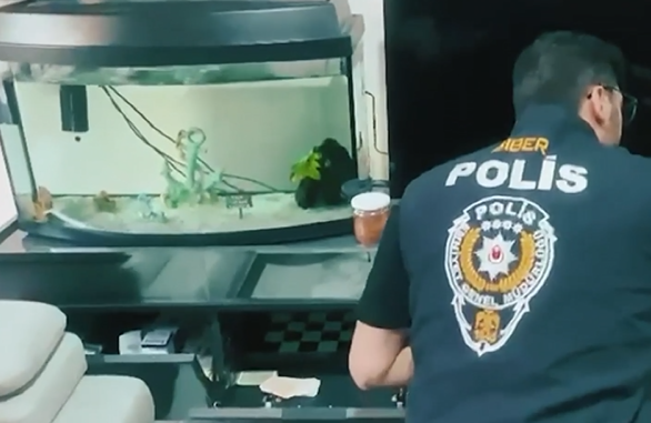 Siber suçlara ağır darbe! Sahte ilanlarla dolandırdılar, yasa dışı bahis oynattılar: Operasyonla çökertildiler - Resim : 2