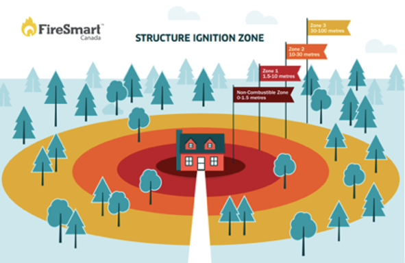 Orman Yangınlarına Karşı Eviniz İçin Hayati Önlemler ve Yol Haritası