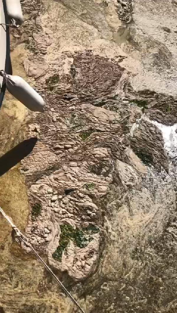 Marmara'da korkunç manzara - Resim : 5