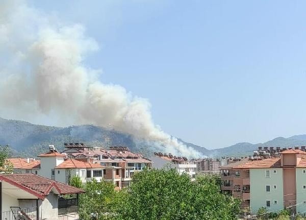 Bir orman yangını daha çıktı: Karadan ve havadan müdahale başladı