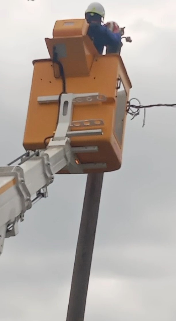 Elektrik direğinin tepesinde mahsur kalan kediyi SEDAŞ ekipleri kurtardı