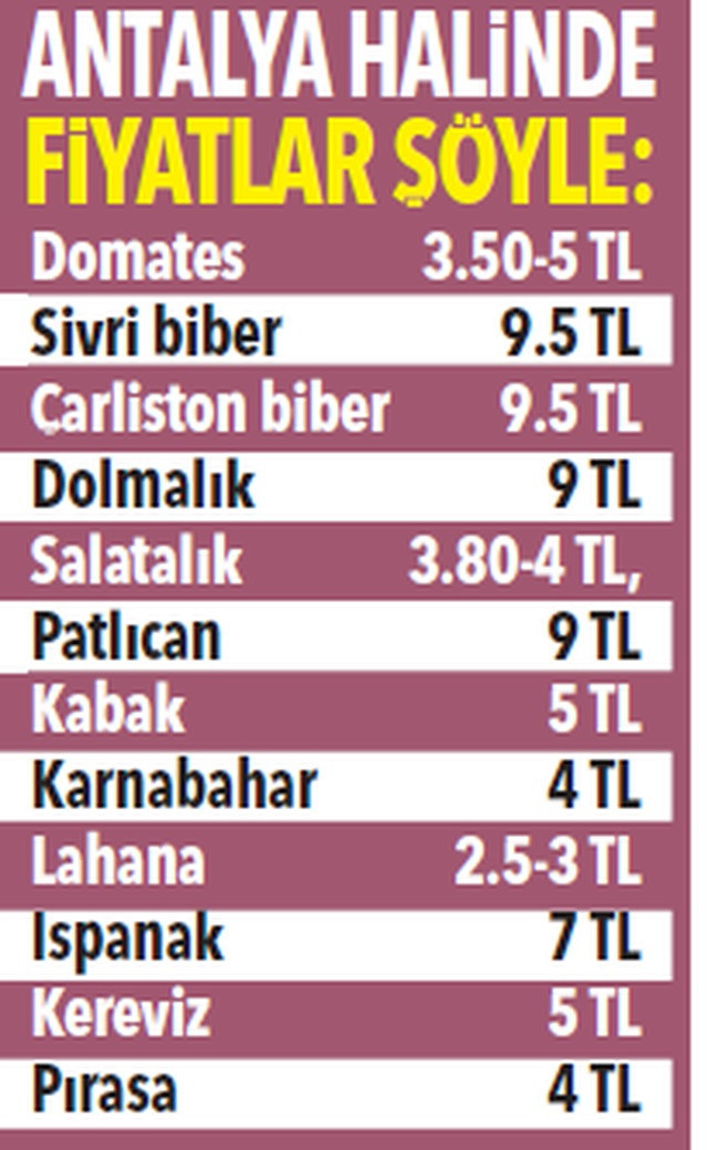 Marketlerde şimdi de kabak alarmı!