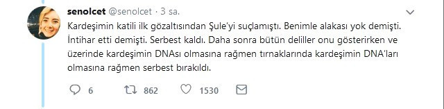 Rapor 'tecavüz' dedi, Şule'nin ağabeyi isyan etti! - Resim : 3