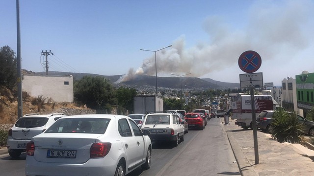 Bodrum'da bir yangın daha: Alevler, yerleşim alanına 150 metre uzakta, 3 otel tahliye edildi