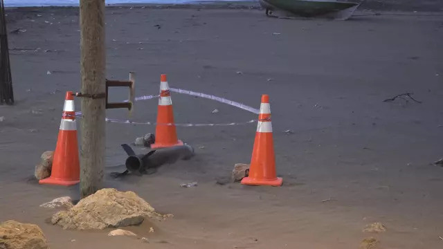 Hatay'da kıyıya vurdu, ekipler anında alarma geçti!