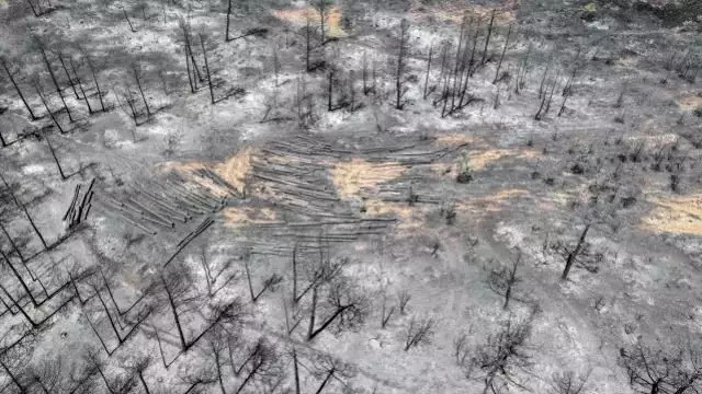 Günlerdir alev alev yanan ilimizin içler acısı görüntüsü ortaya çıktı! - Resim : 2