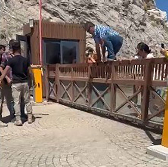 Marmaris'teki skandal proje: Yolu kesen Sinpaş görevlileri ile vatandaşlar arasında arbede çıktı - Resim : 3