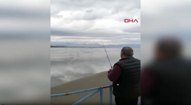 Oltasına balık yerine bakın ne takıldı! Antalya'da denizden çıkan sürpriz güldürdü...