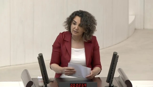 DEM Partili vekilden tepki çeken öneri: Trans kadınların hormon ilaçları ücretsiz olsun
