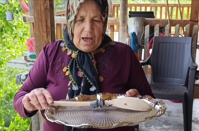 Parmak kadar ama cezası cep yakıyor! Geyik böceğini öldürmenin bedeli 557 bin TL...