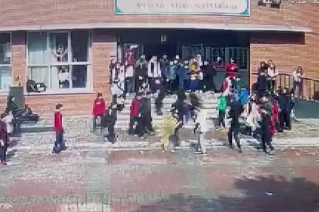 Ümraniye'de okul bahçesinde köpek dehşeti: Beş öğrenci ve bir öğretmene saldırdı! İşte dehşet anları