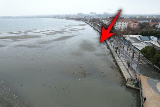 İzmir'in ardından İstanbul'da da endişelendiren görüntü! Deniz 150 metre çekildi! Deprem habercisi mi?
