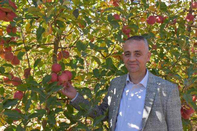 Karaman’da 3 milyon elma ağacıyla dünya devi oldu: Yılda 3,5 milyar TL ciro yapıyor! Üretimin yüzde 80’i ihracata gidiyor...