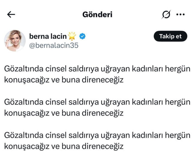 Berna Laçin'den Türk polisine çirkin iftira: Tepkiler gelince silmek zorunda kaldı!  EGM'den yalanlama geldi...